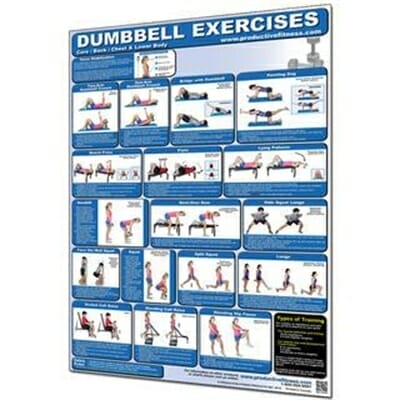 Fitness Mania - Dumbbell Exercises Lower Body Core / Chest / Back Poster