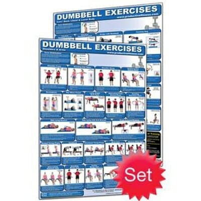 Fitness Mania - Dumbbell Poster Set - Laminated (2)
