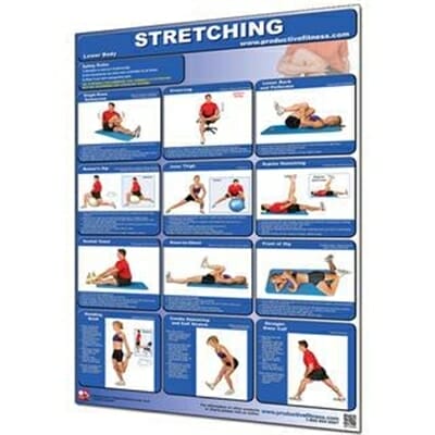 Lower Body Stretching Poster