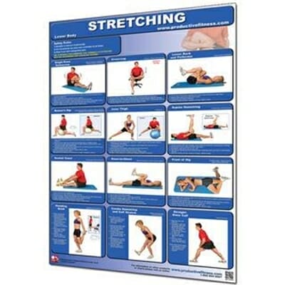 Fitness Mania - Stretching Poster Lower Body