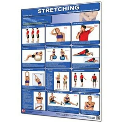 Fitness Mania - Stretching Poster Upper Body