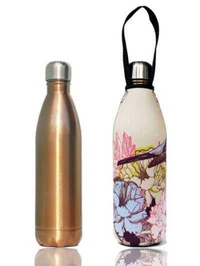 Fitness Mania - BBBYO Future Stainless Steel Bottle + Bird Carry Cover - 750ml - Gold
