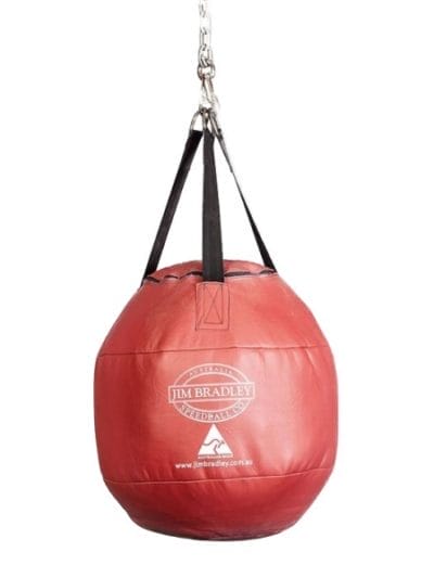Fitness Mania - Jim Bradley Boulder Punching Bag