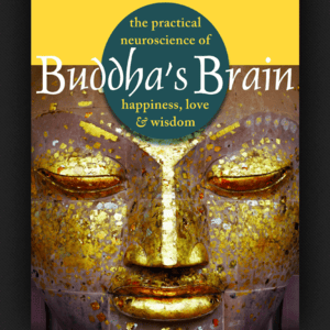 Health & Fitness - Buddha's Brain - Stallic Ltd.