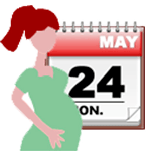 Health & Fitness - Pregnancy Calendar - Triple Creeks Studio