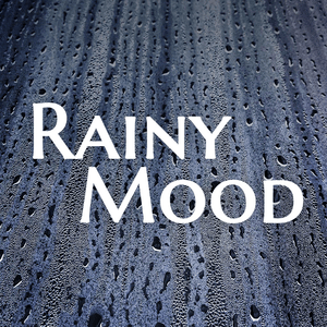 Health & Fitness - Rainy Mood - Rain Sounds for Sleep & Study - Plain Theory