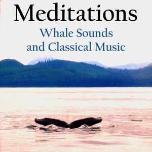 Health & Fitness - Meditations - Whale Sounds and Classical Music - Ashby Navis & Tennyson Media Publisher LLC