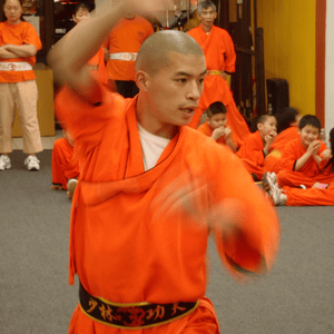 Health & Fitness - Learn Shaolin Kung Fu - Tony Walsh