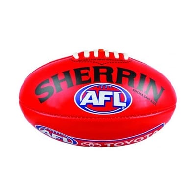 Fitness Mania - Sherrin Replica Game Ball Size 5 PVC