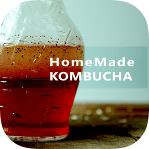 Health & Fitness - Easy Kombucha Tea - Best Guide To Start Kombucha Health Brewing For Beginners - Alex Baik