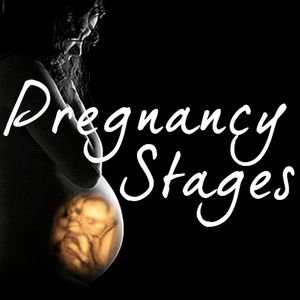 Health & Fitness - Pregnancy Stages - Asif Khalyani