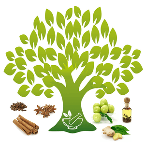 Health & Fitness - Ref Guide for Medicinal Plants & Ayurvedic Herbs - Zuli Bhanvadiya