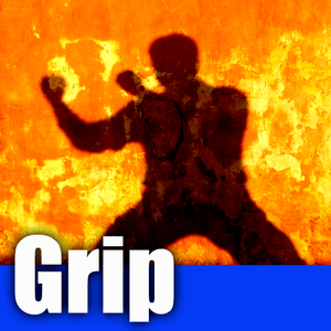 Health & Fitness - Self Defense Skills: Grip Breaking - 9thDan.com