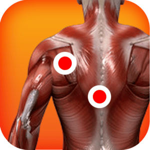 Health & Fitness - Trigger Points of Muscle - Vital Acts Inc.