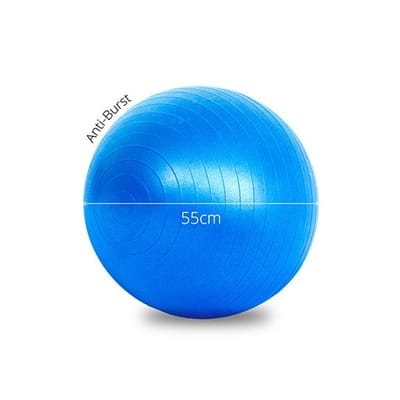 Fitness Mania - Lifespan Fitness Ball 55cm