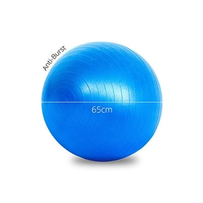 Fitness Mania - Lifespan Fitness Ball 65cm