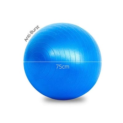 Fitness Mania - Lifespan Fitness Ball 75cm