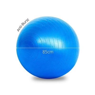 Fitness Mania - Lifespan Fitness Ball 85cm