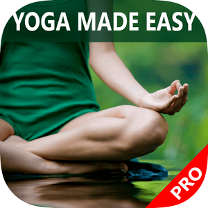 Health & Fitness - Yoga Made Easy - Best Basic Yoga Poses Video Guide & Tips For Beginners - Alex Baik