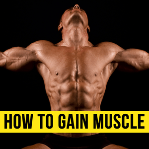 Health & Fitness - How to Gain Muscle From Basics - Learn the Tricks - sathish bc