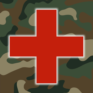 Health & Fitness - Army First Aid - Double Dog Studios