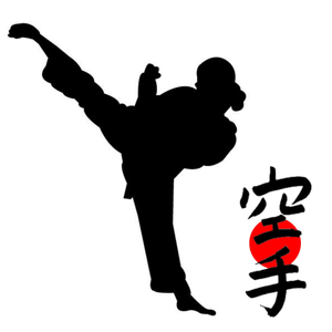 Health & Fitness - Karate & Combat Fitness - Mobile App Company Limited