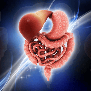 Health & Fitness - Leaky Gut Guide-Symptoms and Digestive System - Feng Liu