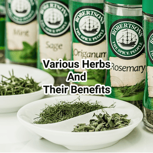 Health & Fitness - Various Herbs and Their Benefits - TrainTech USA