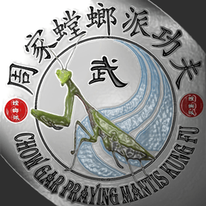 Health & Fitness - Mantis Kung Fu Drills - Peter Orum