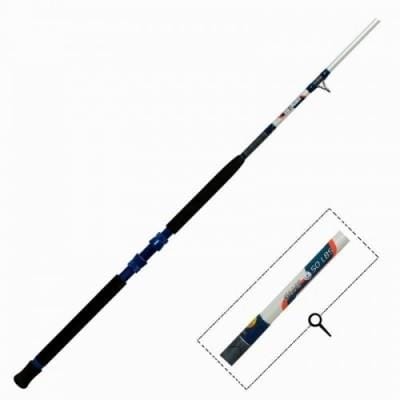Fitness Mania - Game 300 50 lbs trolling fishing rod