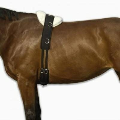 Fitness Mania - Horse Riding Lunging Roller for Horse or Pony - Black