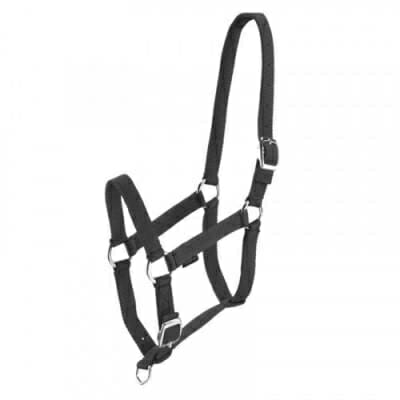 Fitness Mania - Schooling Horse Riding Halter for Horse or Pony - Black