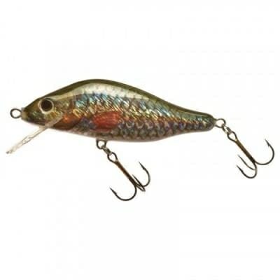 Fitness Mania - Small carp 10 cm fishing floating plug bait