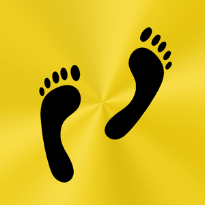 Health & Fitness - Footsteps Pedometer - Palm Shadow Apps LLC
