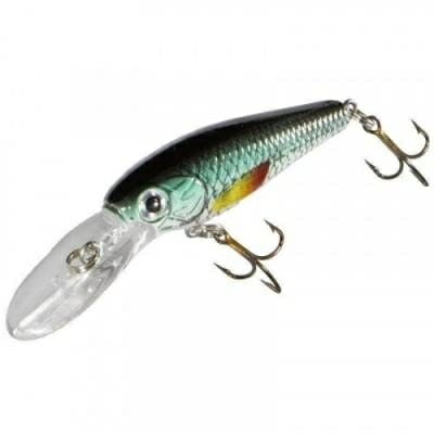 Fitness Mania - BARN 40 ROACH fishing floating plug bait