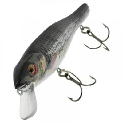 Fitness Mania - Glenroy 45 Roach Floatable Fishing Plug Bait