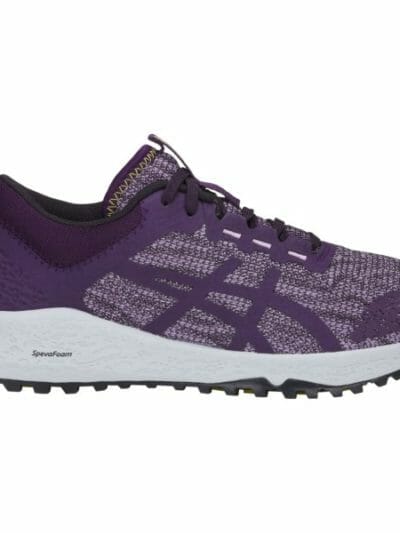 Fitness Mania - Asics Alpine XT - Womens Trail Running Shoes - Astral/Night Shade
