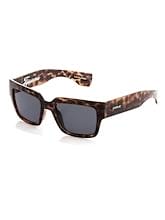 Fitness Mania - Carve Tijuana Polarized