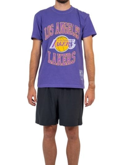 Fitness Mania - Mitchell & Ness Los Angeles Lakers Vintage Crest Logo Mens Basketball T-Shirt - Faded Purple