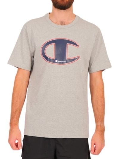 Fitness Mania - Champion Sports Stripe Mens T-Shirt - Grey