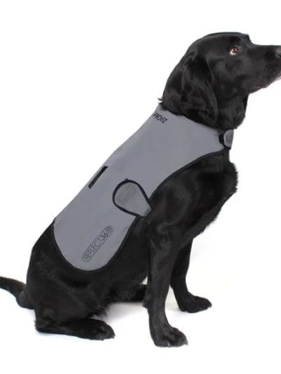 Fitness Mania - Proviz Reflect360 Waterproof Dog Coat