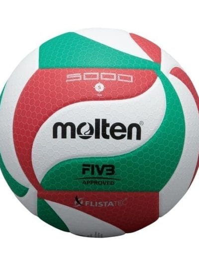 Fitness Mania - Molten M5000 Synthetic Leather Indoor Volleyball - Size 5