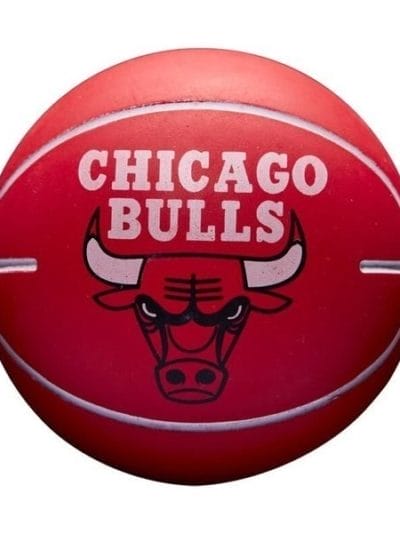 Fitness Mania - Wilson NBA Dribbler Bounce Chicago Bulls Mini Basketball