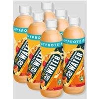 Fitness Mania - Clear Whey Protein Drink (6 Pack) - 6 Pack - Orange & Mango