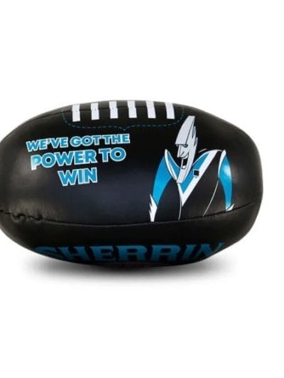 Fitness Mania - Sherrin Port Adelaide Soft AFL Mini Football